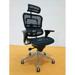 EXECUTIVE OFFICE MESH CHAIR WITH HEAD REST LEATHER DEL 213