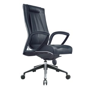 Executive Atessa Chair