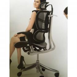 Executive Ergonomic Chair IQMesh Model