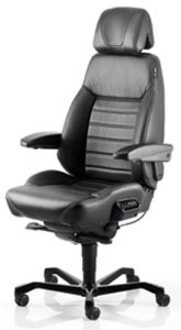 Executive Ergonomic Chair (Orthopedic)