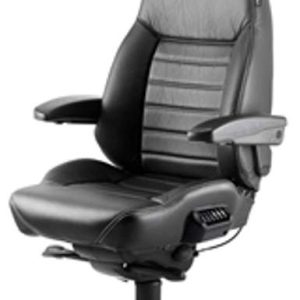 Executive Ergonomic Chair (Orthopedic)