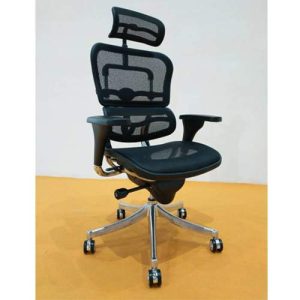 Executive Mesh Chair DEL 152